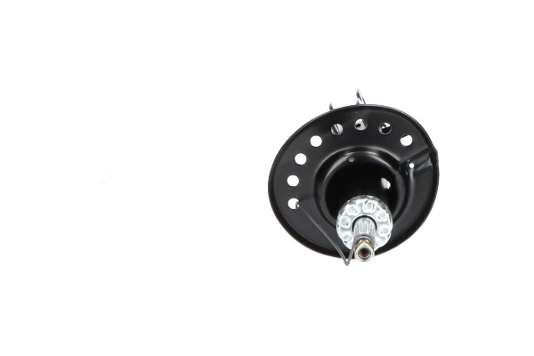 Амортизатор передньої підвіски, лівий Kavo Parts SSA6529 ціна, від 53.32 USD