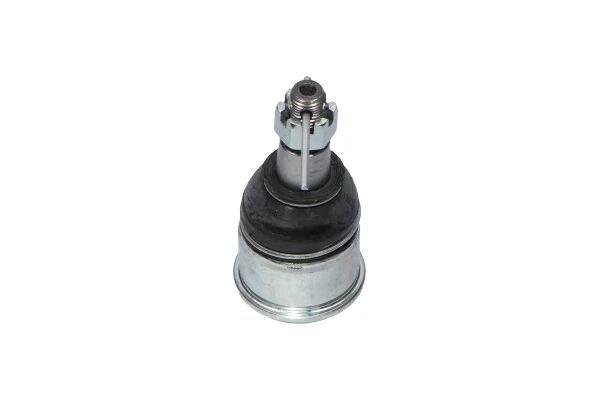 Купити SBJ2024 Kavo Parts Кульова опора, нижня