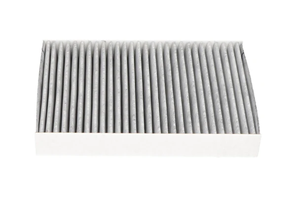 Купити FCA10028C Kavo Parts Фільтр салону вугільний
