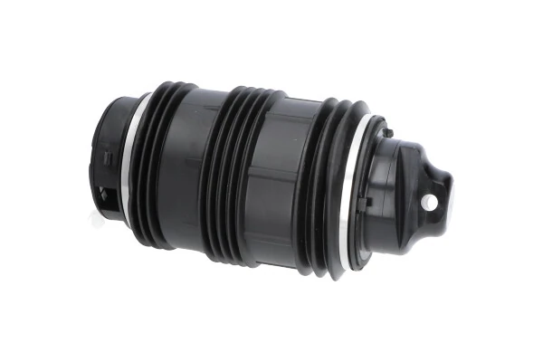 SAS10026 Kavo Parts Пневмоподушка/пневморессора моста заднього
