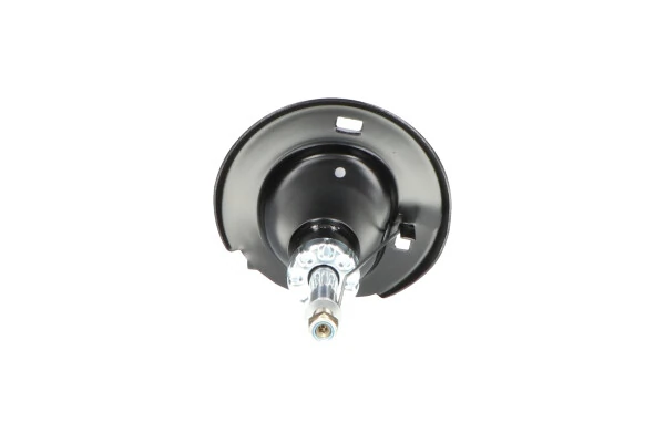 Стойка амортизатора передняя Kavo Parts SSA10124 ціна, від 38.73 USD