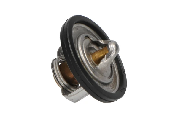Купити TH1004 Kavo Parts Термостат в корпусі