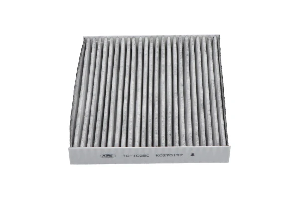 Купити TC1025C Kavo Parts Фільтр салону вугільний