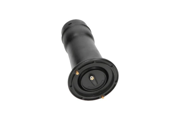SAS10025 Kavo Parts Пневмоподушка/пневморессора моста заднього