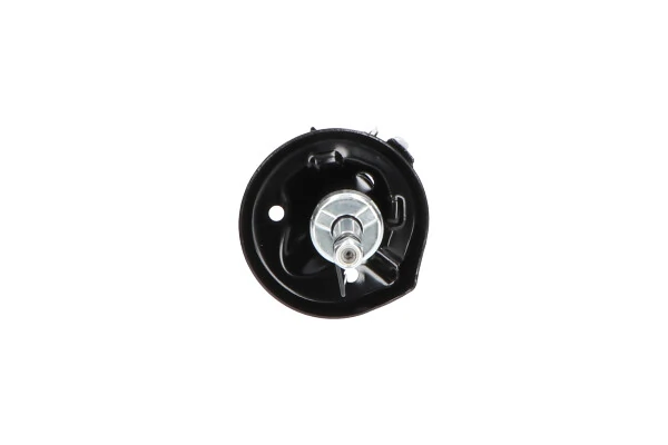 Стойка амортизатора передняя Kavo Parts SSA10031 ціна, від 60.04 USD