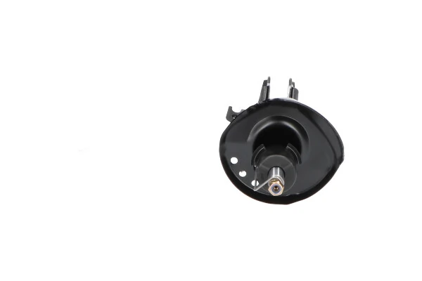 Амортизатор передній, правий Kavo Parts SSA10284 ціна, від 50.59 USD