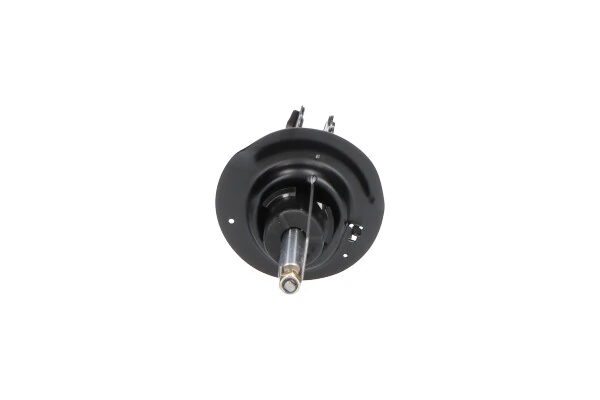 Амортизатор передній, правий Kavo Parts SSA3035 ціна, від 46.63 USD