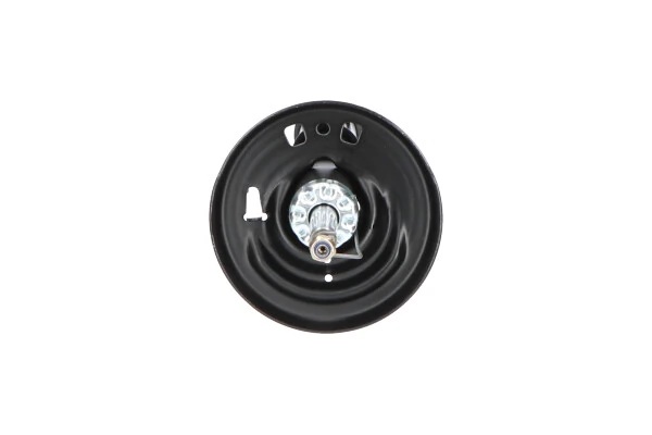 Стойка амортизатора передняя Kavo Parts SSA10221 ціна, від 49.90 USD