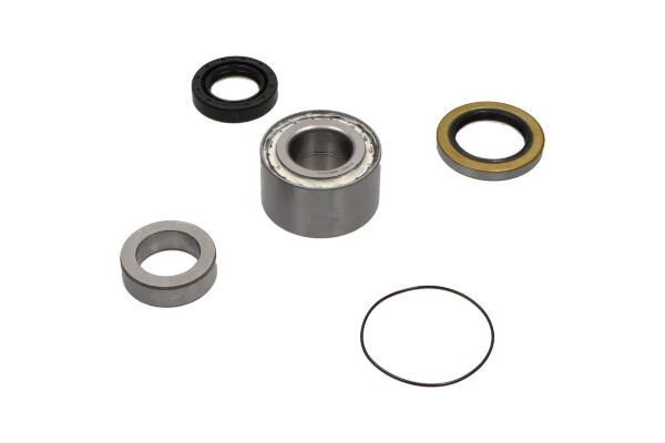 WBK5512 Kavo Parts Підшипник ступиці задньої