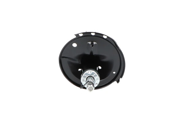 Амортизатор передньої підвіски, лівий Kavo Parts SSA9003 ціна, від 54.50 USD