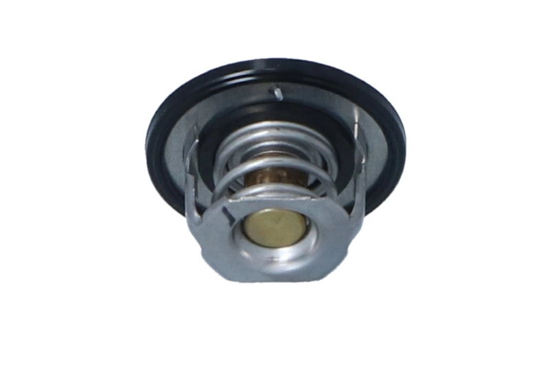 Купити Термостат Subaru Outback III B13, BP
