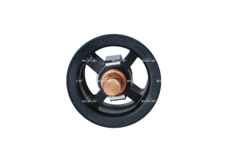 Купити 7403839110 Renault (RVI) Термостат в корпусі