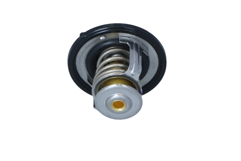 Термостат в зборі Magneti Marelli TE0060