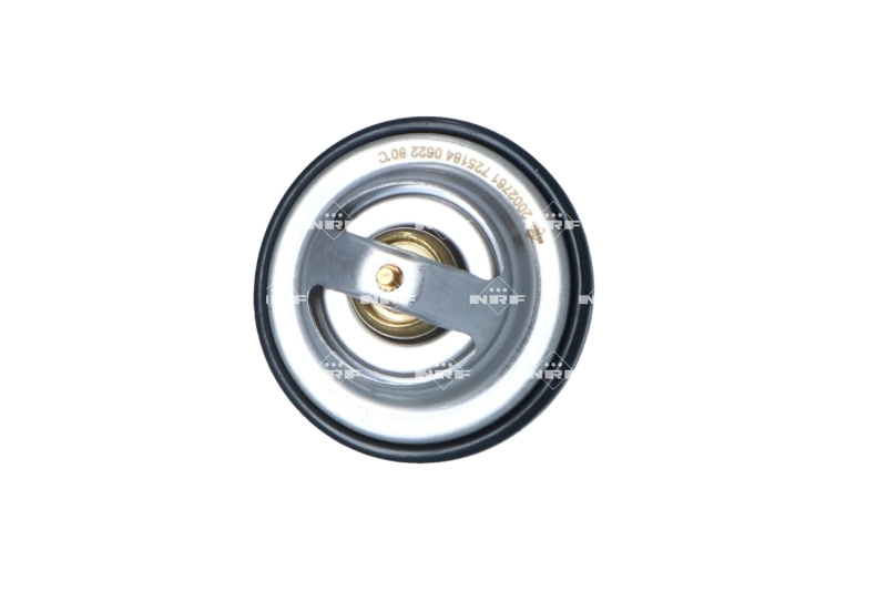 Купити 91153670 General Motors Термостат в корпусі