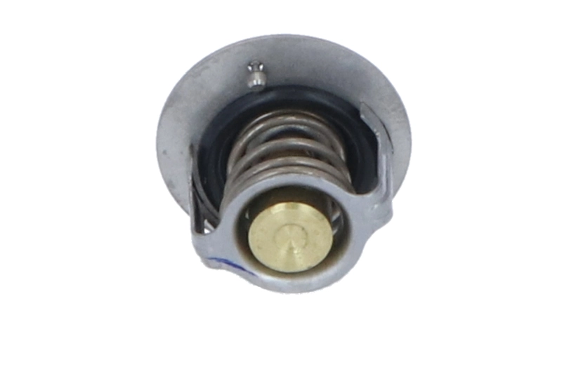 Купити D24002 Tama Термостат в корпусі