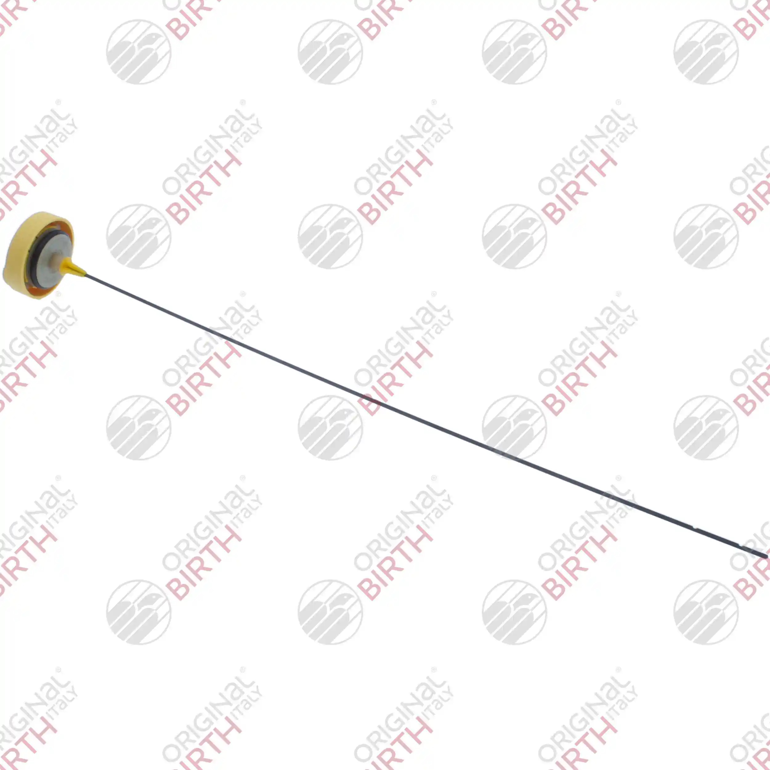  Масляний щуп Renault Scenic 