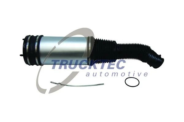 Пневморессора задня Mercedes A22032050131 ціна, від 136.78 USD