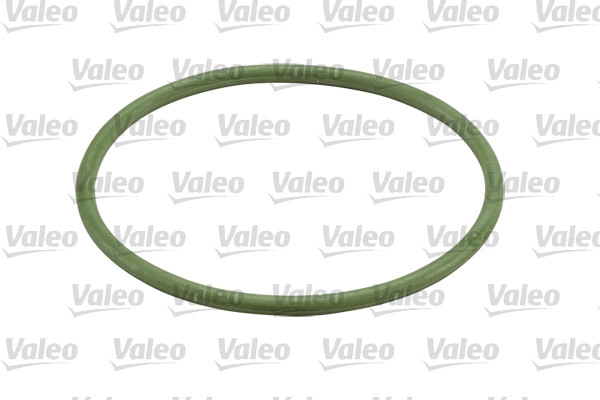Купити 586541 VALEO Фільтр очищення масла відцентровий