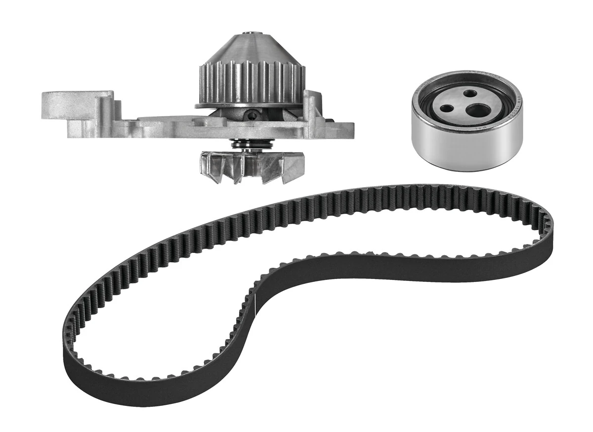 Комплект ГРМ 530001830 Polcar