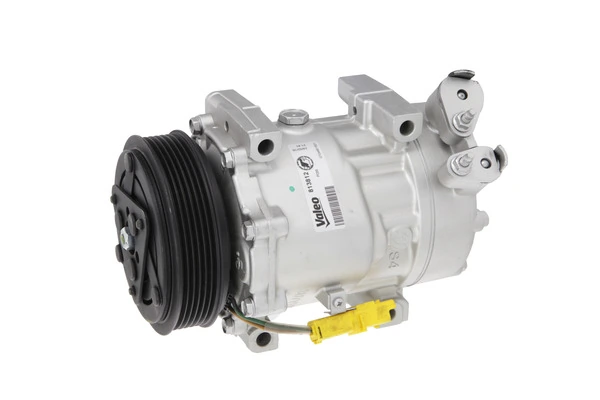 813812 VALEO Компресор холодоагенту