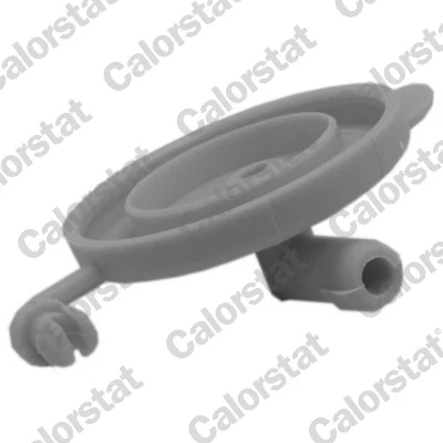 Купити Кришка розширювального бачка Mitsubishi Lancer IX CSA