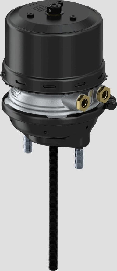 81504106551 MAN Камери пневматичного