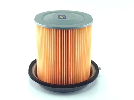 SB213 SCT Повітряний фільтр двигуна