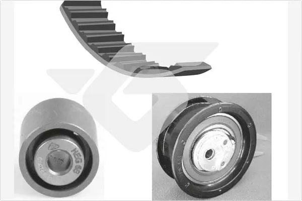 Комплект ГРМ 530005710 Polcar