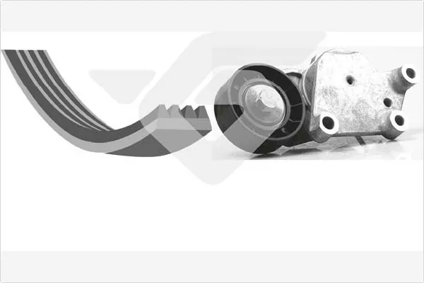 1613444680 Peugeot/Citroen Ремінь приводний, агрегатів, комплект