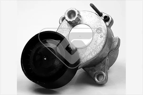 MPQ1217 Magneti Marelli Натяжна планка поліклинового ременя