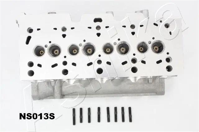 Головка блоку циліндрів Ashika NS013S