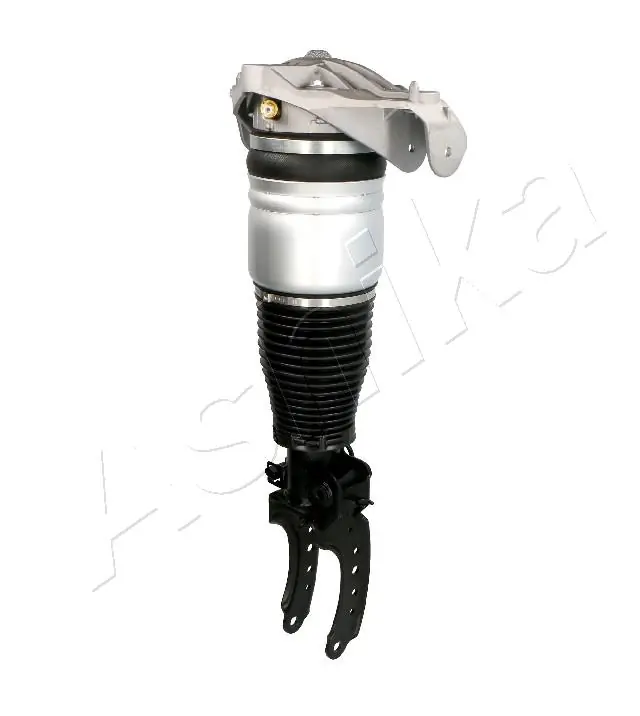 Амортизатор передній, правий Ashika MAAS013 ціна, від 231.12 USD