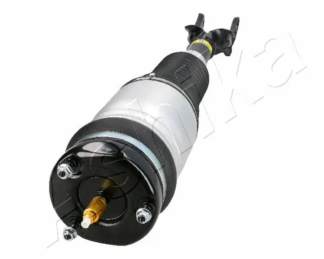 Амортизатор передній, правий Ashika MAAS102 ціна, від 660.24 USD