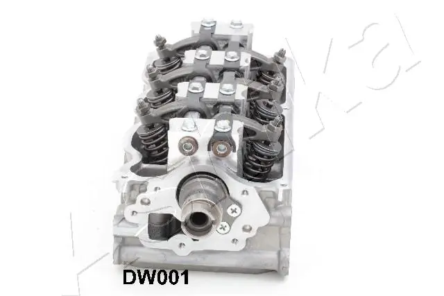 ГБЦ DW001 Ashika