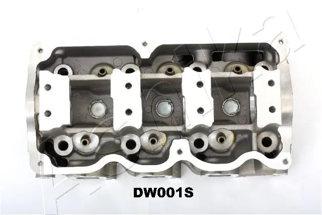 ГБЦ DW001S Ashika