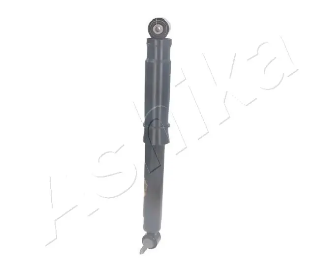 MA00420 Ashika Амортизатори задні