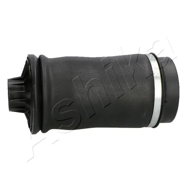 Пневморессора задня Ashika MAAS005 ціна, від 94.75 USD