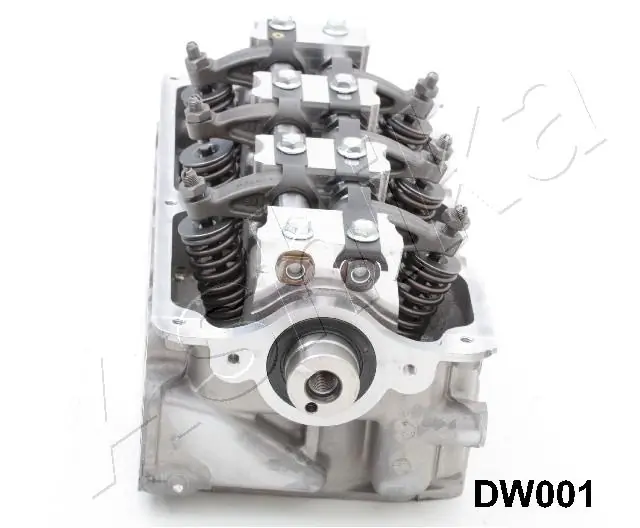 DW001 Ashika Головка циліндрів