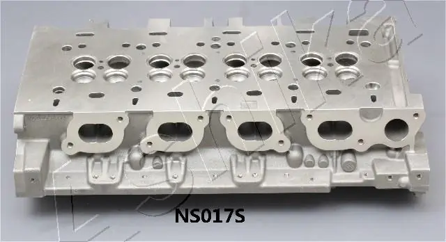 Головка блоку циліндрів Ashika NS017S