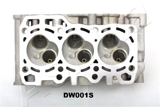 Головка блоку циліндрів Ashika DW001S