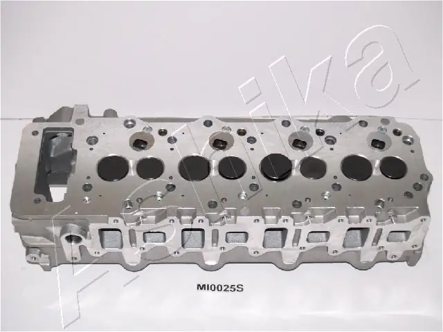 MI025S Ashika Головка циліндрів