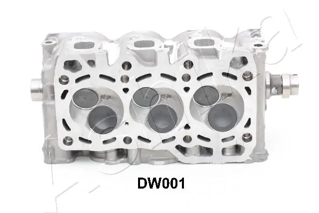 Купити DW001 Ashika Головка блоку