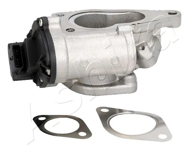 Клапан EGR Renault (RVI) 8200411031 ціна, від 31.67 USD