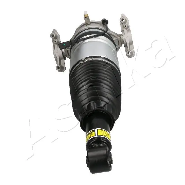 Амортизатор задній, лівий Ashika MAAS093 ціна, від 564.90 USD