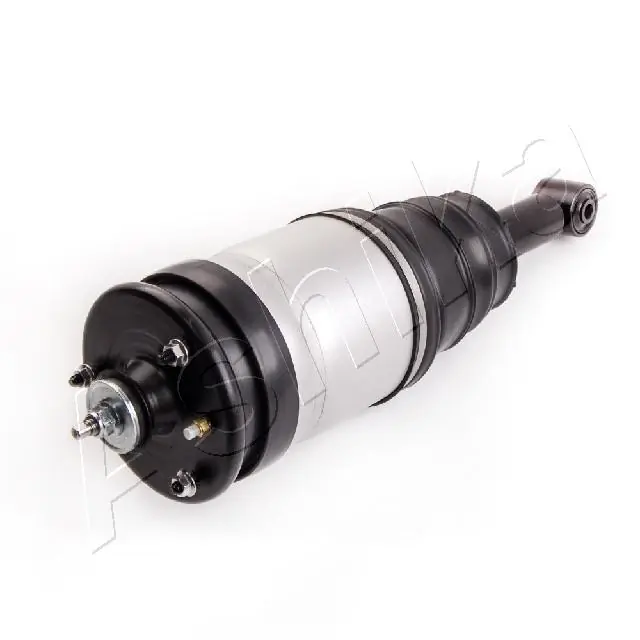 MAAS020 Ashika Амортизатори задні