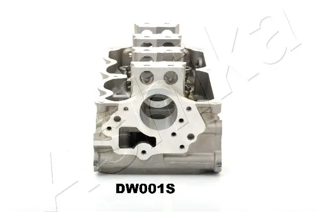 DW001S Ashika Головка циліндрів