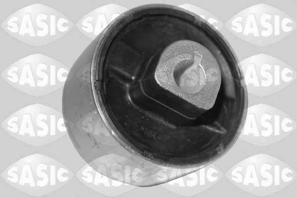 545609807R Renault (RVI) Сайлентблок переднього нижнього важеля