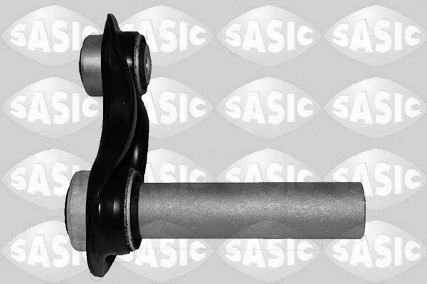 Купити RL333930B Raiso Важіль задньої підвіски нижній, лівий/правий