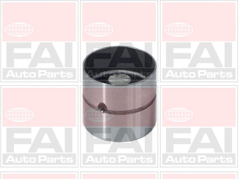 Гідрокомпенсатор на Ford Escort CLASSIC AAL, ABL