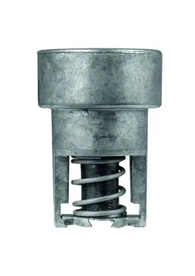 TX9882 Mahle Original Авто термостат